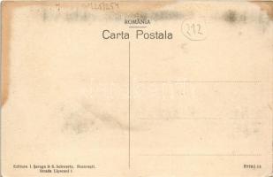 1916 Brezoi, Brezoiu (Valcea); Vedere generala / general view (EK)