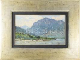 Bosznay István (1868-1944): Fenyőháza (Lubochna, Felvidék, Tátra), 1912. Olaj, karton, jelezve jobbr...