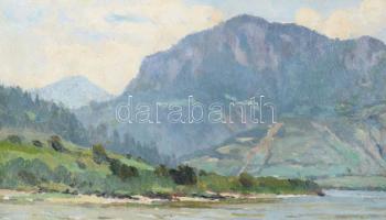 Bosznay István (1868-1944): Fenyőháza (Lubochna, Felvidék, Tátra), 1912. Olaj, karton, jelezve jobbr...