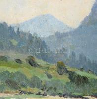 Bosznay István (1868-1944): Fenyőháza (Lubochna, Felvidék, Tátra), 1912. Olaj, karton, jelezve jobbr...