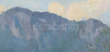 Bosznay István (1868-1944): Fenyőháza (Lubochna, Felvidék, Tátra), 1912. Olaj, karton, jelezve jobbr...