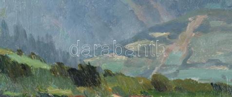 Bosznay István (1868-1944): Fenyőháza (Lubochna, Felvidék, Tátra), 1912. Olaj, karton, jelezve jobbr...