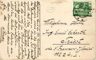 1911 Campulung Moldovenesc, Moldvahosszúmező, Kimpolung (Bukovina, Bucovina, Bukowina); Slipul prin ...