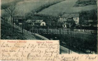 1902 Divoky, Sárky ze Zelivky / view (EK)