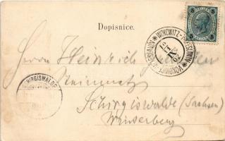 1902 Divoky, Sárky ze Zelivky / view (EK)