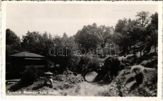 Kolozsvár, Cluj; Botanikus kerti részlet / botanical garden (fl)
