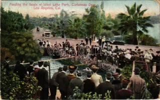 1910 Los Angeles (California), Feeding the Seals at West Lake Park, Christmas Day (worn corners)