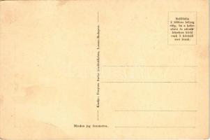 Kassa, Kosice; Fő utca, Vármegyeház, Cikta felirat. Fenyves Andor kiadása / main street, county hall...