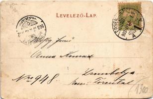 1903 Érsekújvár, Nové Zamky; Központi Gáz és Villamossági részv. társ. Gázgyár, gyár felszentelése. ...