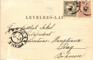 1898 Orsova, Werfte der MFTR / MFTR (Magyar Királyi Folyam- és Tengerhajózási RT) hajógyára. Huttere...