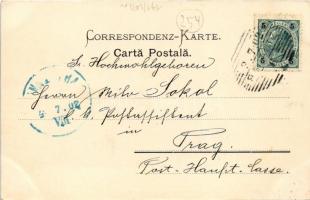 1902 Radauti, Radóc, Radautz (Bukovina, Bucovina, Bukowina); general view with synagogue. Verlag J. ...