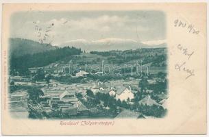 1900 Rezsőpart (Garamolaszka, Valaská), Zólyom megye, fűrésztelep. F. B. Göhler / sawmill (EK)