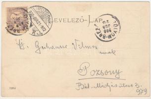 1900 Rezsőpart (Garamolaszka, Valaská), Zólyom megye, fűrésztelep. F. B. Göhler / sawmill (EK)