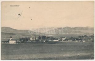1911 Biccsefalu, Bitsicza, Bicsicza, Bytcica; látkép / general view (ázott / wet damage)
