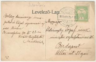 1911 Biccsefalu, Bitsicza, Bicsicza, Bytcica; látkép / general view (ázott / wet damage)