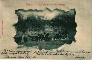 1900 Kassa, Kosice; Üdvözlet a falkavadászatról este. László Béla kiadása / coursing hunters on hors...