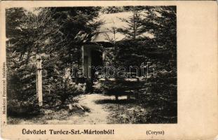 1912 Turócszentmárton, Turciansky Svaty Martin; park, Corysa. Moskóczi Ferencné kiadása / park (EK)