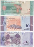 Venezuela 2017. 1000B + 2018. 2B + 2018. 10B T:UNC,AU
Venezuela 2017. 1000 Bolívares + 2018. 2 Bolí...