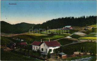 1914 Rozluch, Rozlucz, Roslutsch; general view, village. Verlag M. Grossman