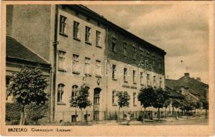 Brzesko, Gimnazjum (Liceum) / grammar school (fl)