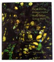 Darab Zsuzsa - Érmezei Lili Zoé - Riskó Gáspár - Simon Márk: Folyamatos jelen. Present Continous. Bp...