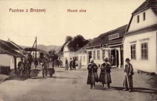 Berezó main street with the shop of Samo Gavora Janov