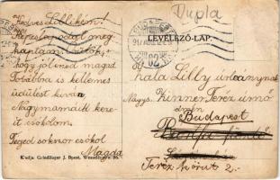 1917 Ferenc Ferdinánd és családja, a meggyilkolt trónörököspár gyermekeivel. Grindlinger J. kiadása ...