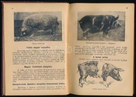 Laczkó József - N. Nagy Sándor: Amit minden hentes és mészárosnak ismerni kell. (A borítón: A modern...