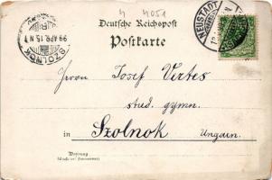 1899 Neustadt in Sachsen, Schule, Kais. Postamt, Ungerberg, Kgf.-Amtsgericht, Götzinger Höhe. Verlag...