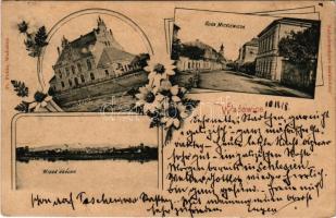 1899 Wadowice, Sokol, Ulica Mickiewicza, Widok ogólny / Sokol house, street view, general view. Fr. ...