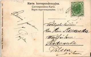 Przemysl, Widok z zasania / Ansicht von Zasanie / general view, bridge (wet corners)