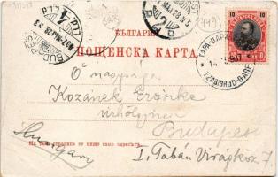 1907 Dimitrovgrad, Tzaribrod, Caribrod; general view (EK)