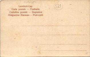 Dézsás cigány / Zigeuner (Kesselflicker) / Gypsy tinker man, folklore. D. T. C. L. Serie 301. No. 20