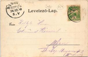 1900 Újvidék, Neusatz, Novi Sad; nyitott pontonhíd a Dunán elhaladó uszállyal. Gustav Kunst kiadása ...