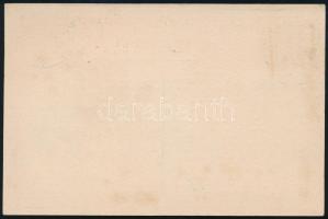 1909 Díjkiegészített díjjegyes levelezőlap egy osztrák-magyar tengerésztiszttől Polára, "TSCHIN...