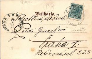 1900 Le Bluet, le Coquelicot. J. W. Heeg No. 240. / French lady art postcard. Art Nouveau, floral, l...