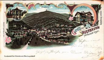 1901 Savanyúkút, Bad Sauerbrunn; Brunnen, Badhaus / látkép, fürdő, forráskút / general view, spa, ba...