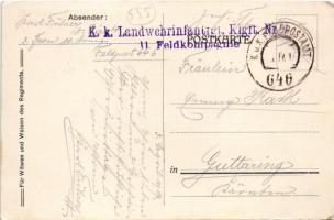 1917 K.K. Landwehr Infanterie-Regiment Klagenfurt No. 4. in der 9. Isonzoschlacht. Für Witwen und Wa...