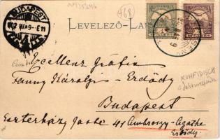 1902 Gyepűfüzes, Gyepű-Füzes, Gornji Fides, Kohfidisch; Erdődy kastély, rajta családi levél Károlyi-...