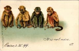 1899 Monkeys painting. Lith-Artist Anstalt München (vorm. Gebrüder Obpacher) Serie IX. No. 16249. li...