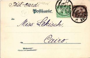 1899 Monkeys painting. Lith-Artist Anstalt München (vorm. Gebrüder Obpacher) Serie IX. No. 16249. li...