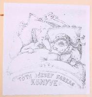 Ardos Frigyes: Kézügyességi segédmunkálatok és használatos fanemek. Nevelő és műkedvelő kézügyességi...