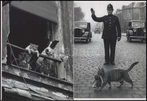 cca 1930 "Látod? Így kell nagyvárosban közlekedni!", 2 db modern nagyítás, jelzés nélkül, ...