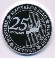 DN "Eurófantáziák - Turul" Ag emlékérem kapszulában (20,7g/0,999/38,61mm) T:PP patina