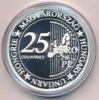 DN "Eurófantáziák - Lánchíd" Ag emlékérem kapszulában (20,7g/0,999/38,61mm) T:PP patina
