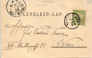 1904 Németújvár, Német-Újvár, Güssing; Ansicht vom Schlossberg, Schloss von Osten, von Süden / látké...