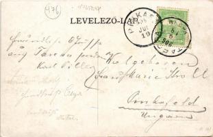 1906 Tarcsa, Tarcsafürdő, Bad Tatzmannsdorf; Karolina villa, Mária villa / spa villas (fl)