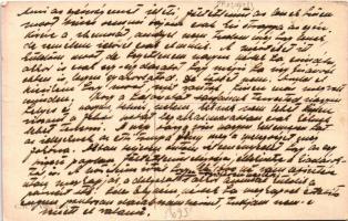 Gruss vom Krampus! C.H.W. VIII/2. 2494-9. / Krampus greeting art postcard, playing the flute (EK)