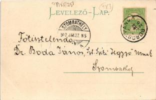 1907 Borostyánkő, Bernstein; utca, vár, Máger József üzlete. A. Pelnitschar kiadása / street view, c...