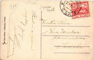 1919 Sagrado, street view (EK)